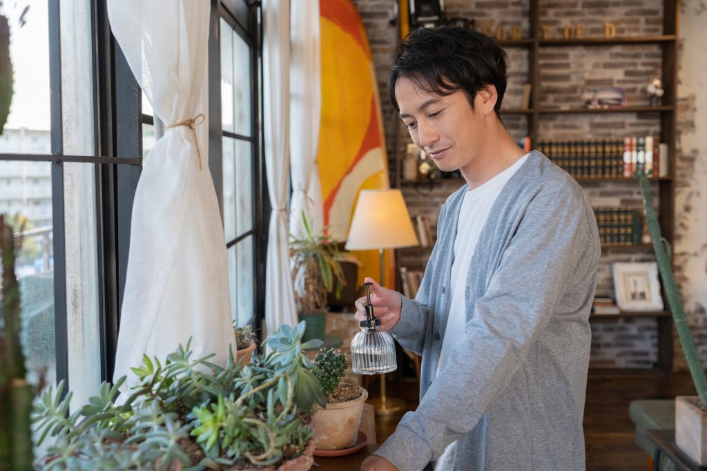 実は中々難しい！ サボテンの正しい水やりの方法は？