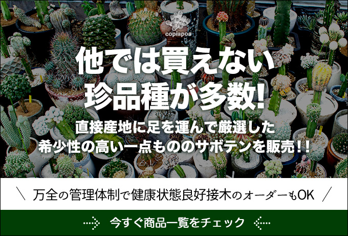 サボテンは観賞植物として人気 害虫対策や殺虫剤など栽培のヒント サボテン販売のcopiapoa スタッフブログ