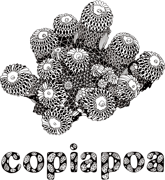 copiapoa